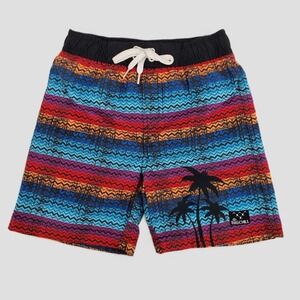Big Chill Swim Trunks Board Shorts‎ Boys Size 4 UPF 50 Lined Palm Tree Stripe